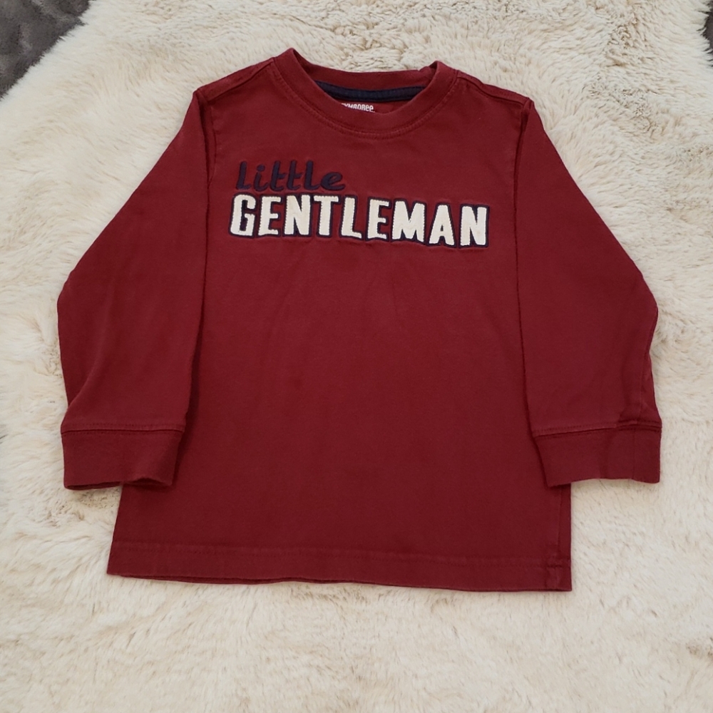 Gymboree Shirt